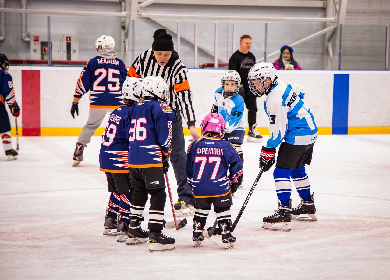 изображение новости