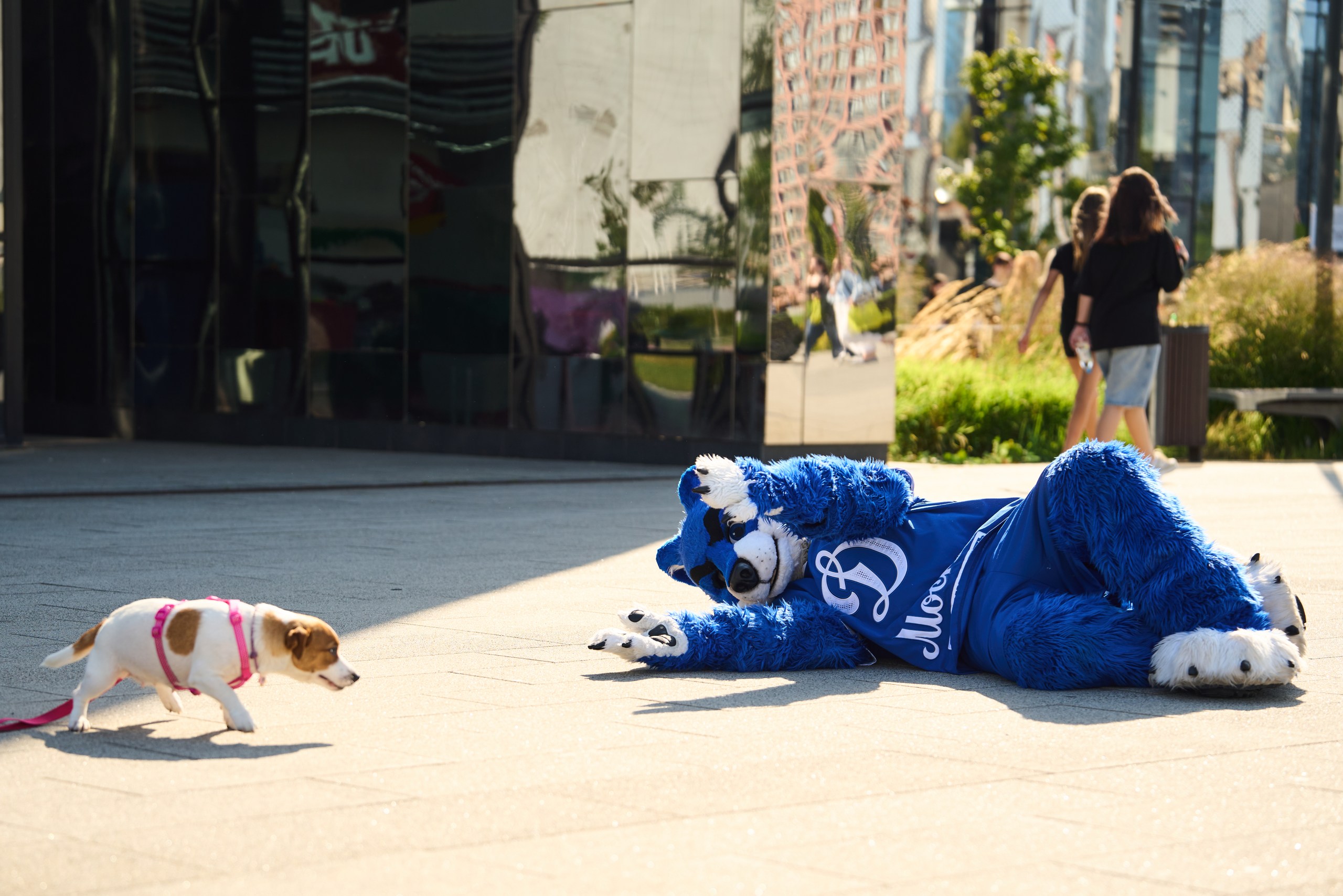 изображение слайдера