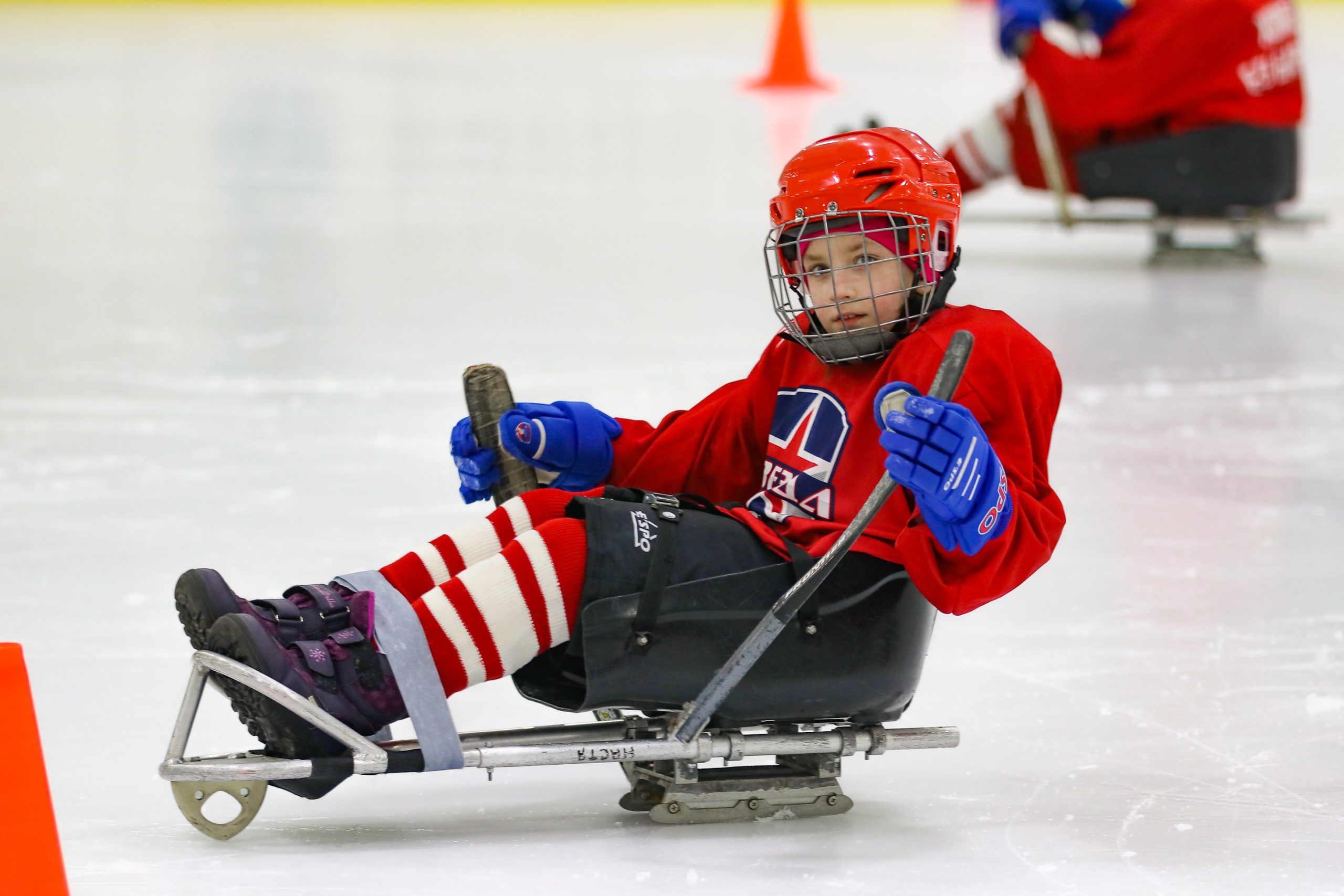 изображение слайдера