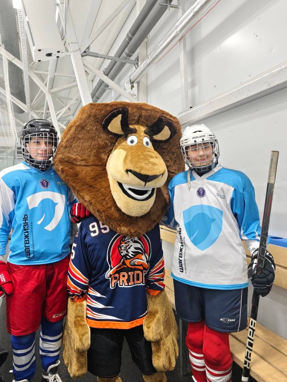 изображение слайдера