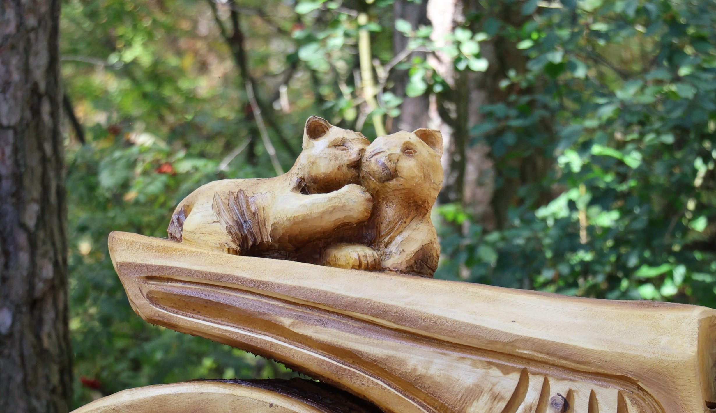 изображение слайдера