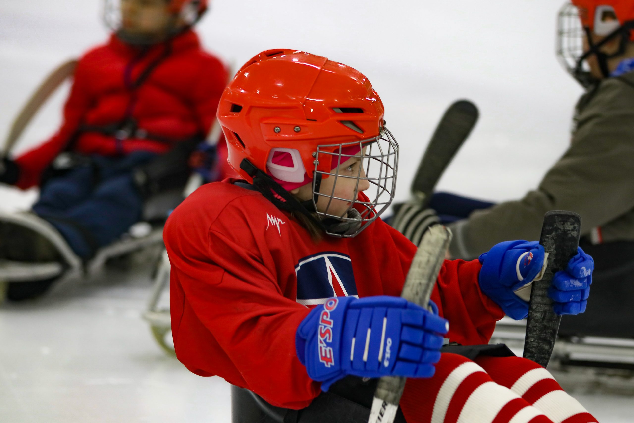 изображение слайдера