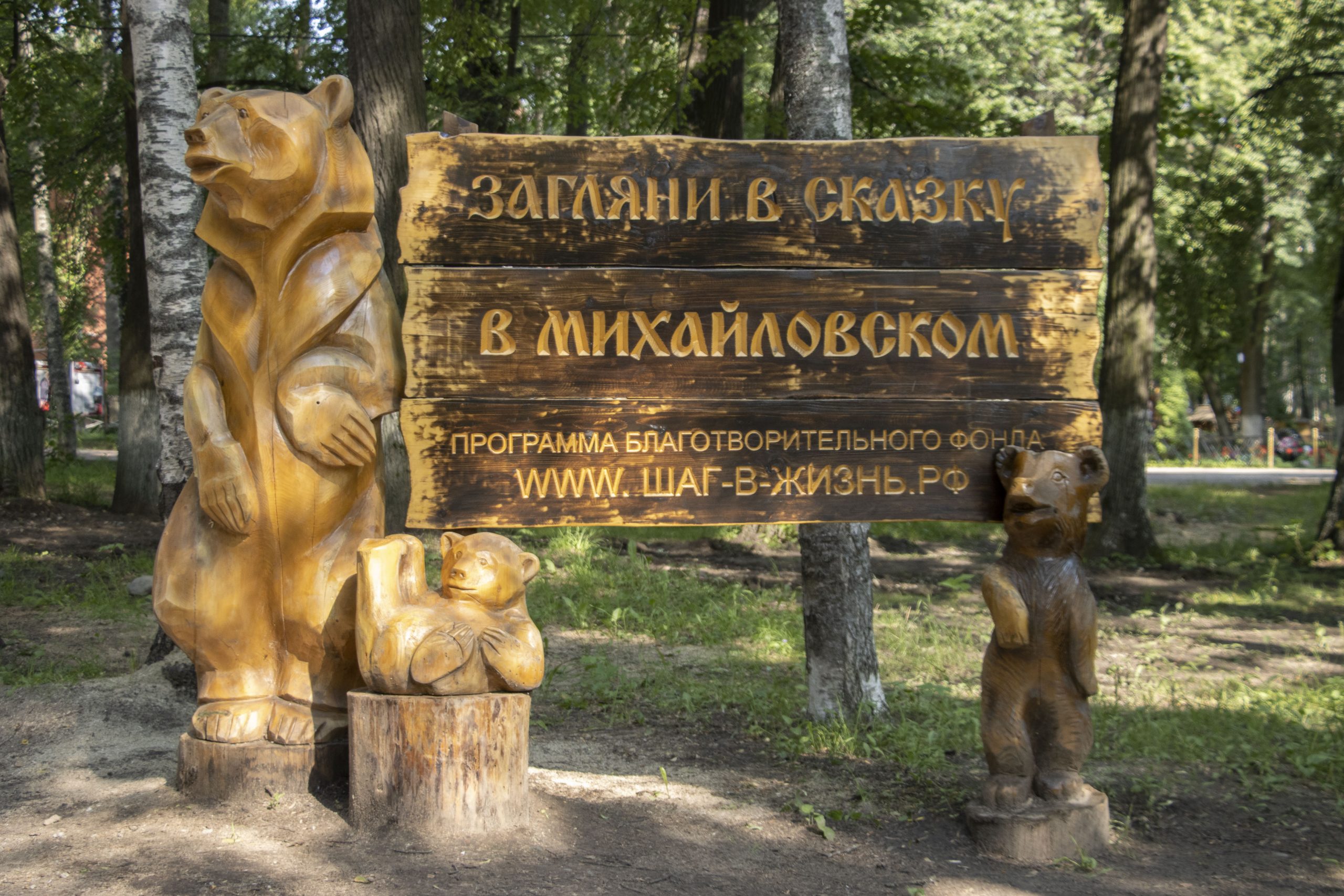 изображение новости
