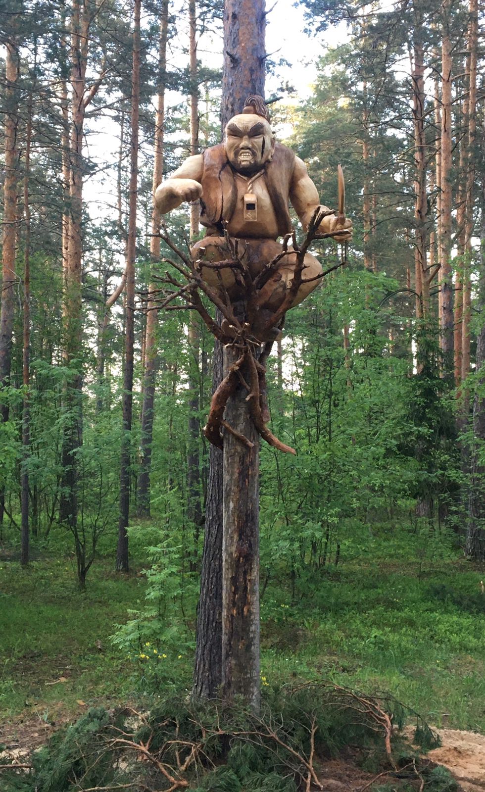 изображение слайдера