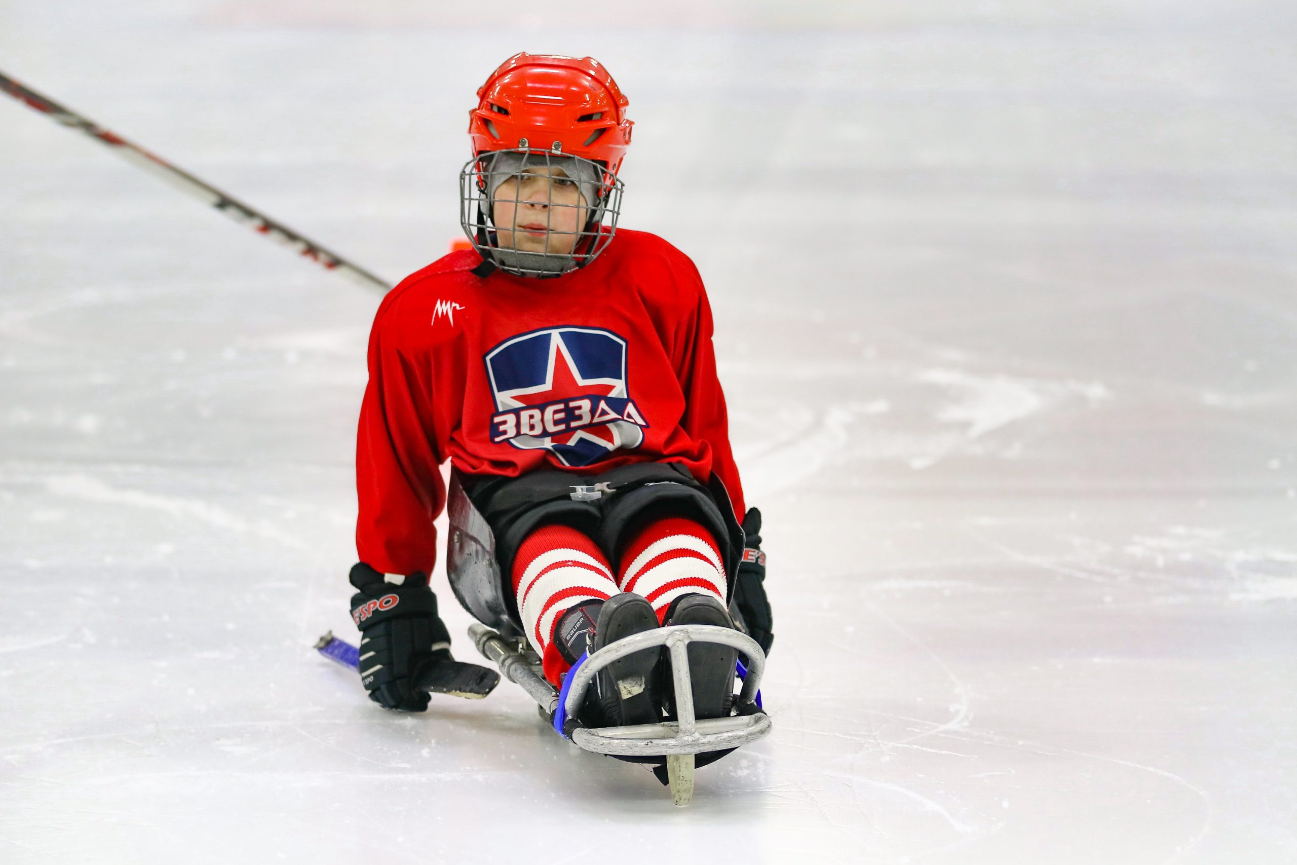 изображение слайдера