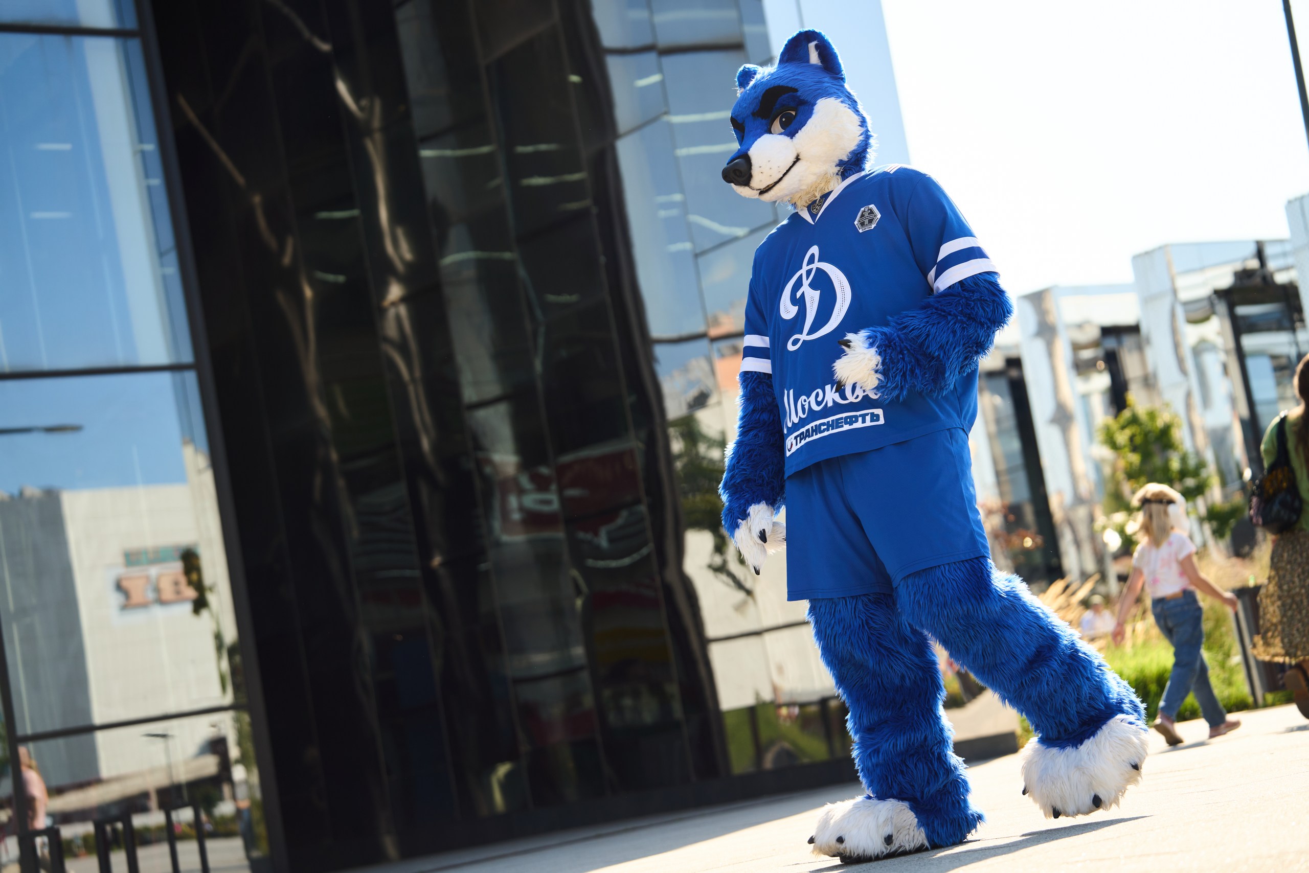 изображение слайдера